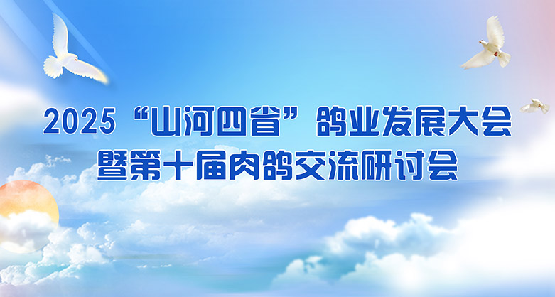 關(guān)于舉辦2025“山河四省”鴿業(yè)發(fā)展大會暨第十屆肉鴿交流研討會的通知（第二輪通知）