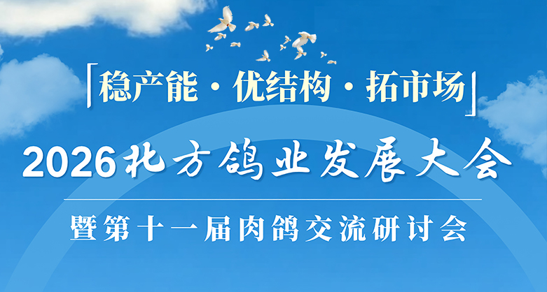 關于舉辦2026北方鴿業(yè)發(fā)展大會暨第十一屆鴿業(yè)交流研討會的通知